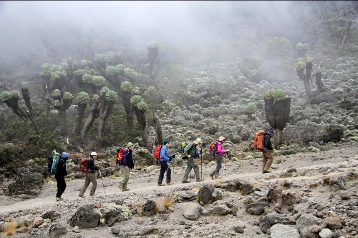 Machame Kilimanjaro Trek, Tanzania