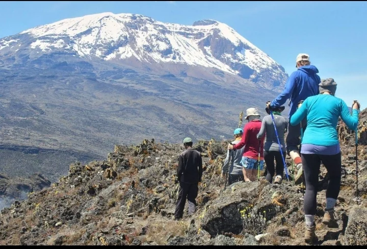 Northern Circuit Kilimanjaro Trek, Tanzania