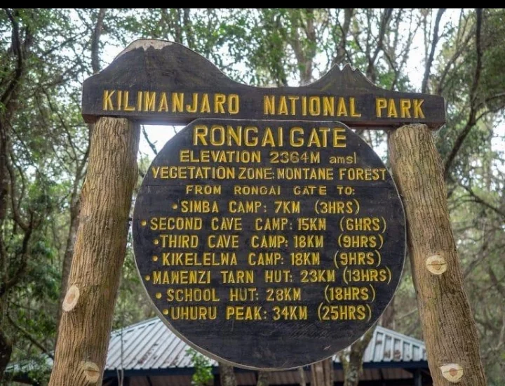 Rongai Kilimanjaro Trek, Tanzania